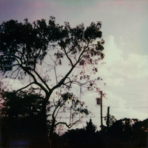 国产嫩交肏屄视频
